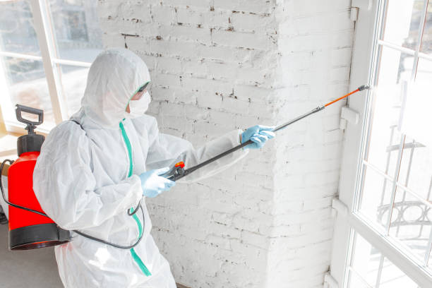 Best Mold Odor Removal Services in Milan, OH